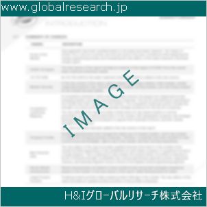 グローバルリサーチ調査資料のイメージ